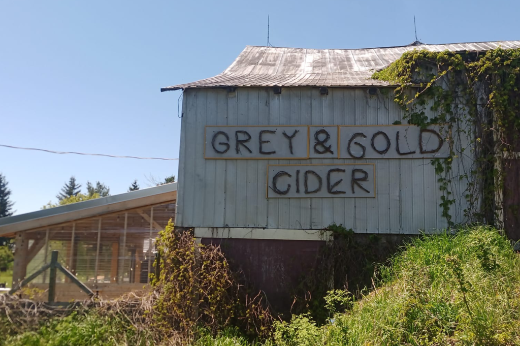 greyandgold